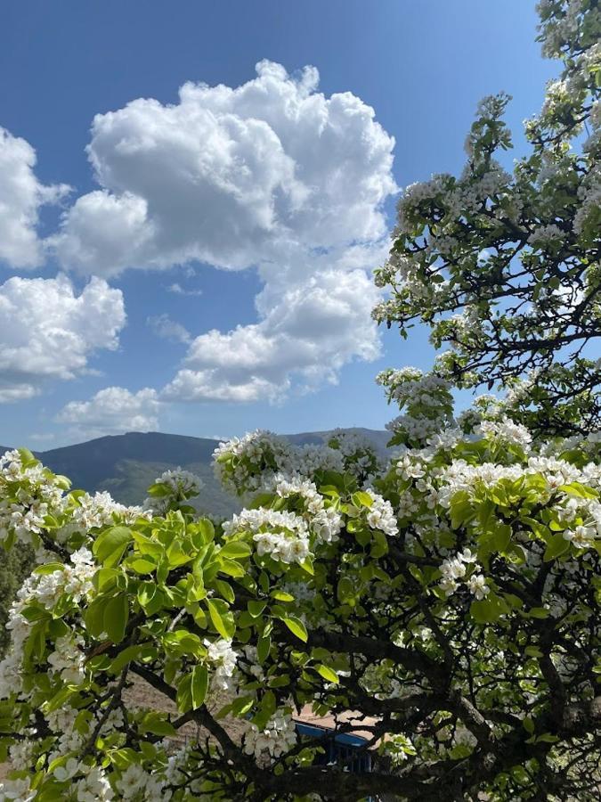 Bed & Breakfast Gevorgyans' Tatev Esterno foto